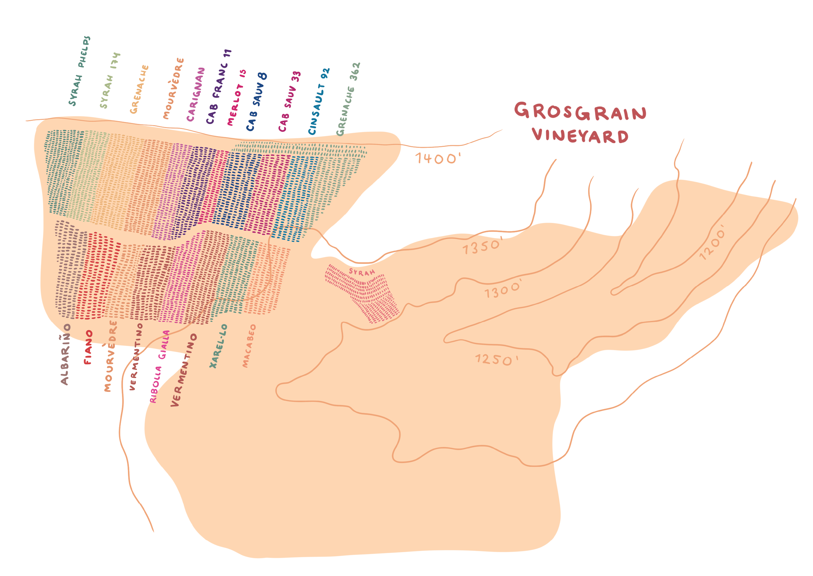 Grosgrain Vineyard