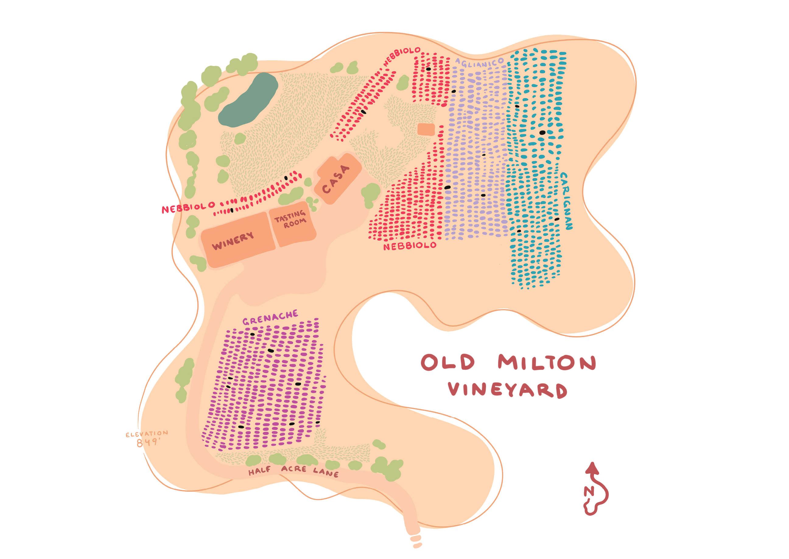 Old Milton Vineyard